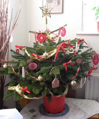 Christmas tree 2008
