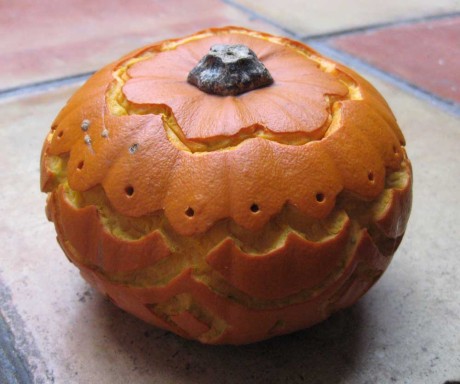 Pumpkin with top